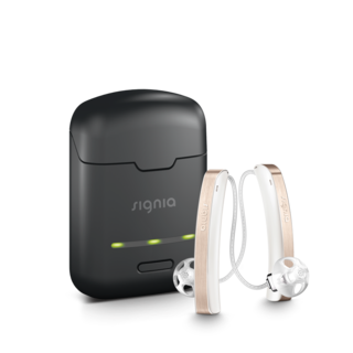 Styletto_snow-white-rose-gold-brush_chargerclosed.png